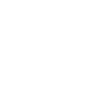 100+ countries and regions